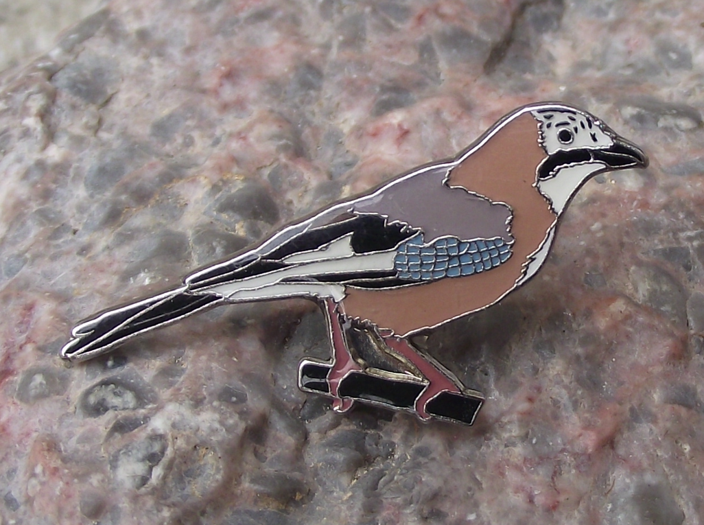 European Eurasian Jay Crow Corvid Corvidae Family Garden Bird Pin Badge - Badgecrazy