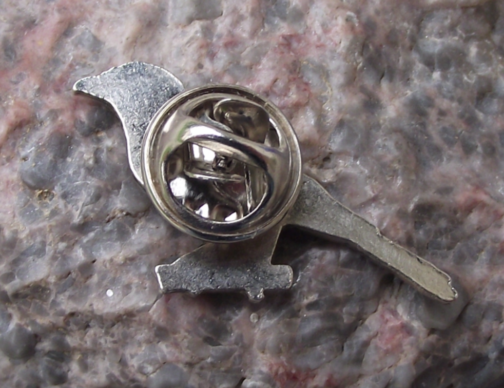 European Eurasian Jay Crow Corvid Corvidae Family Garden Bird Pin Badge - Badgecrazy