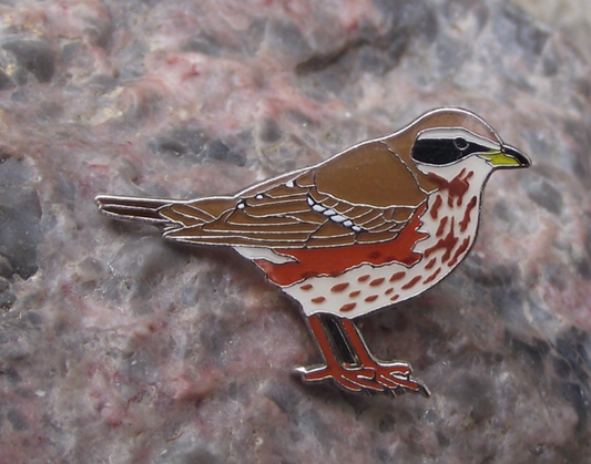 European Redwing Thrush Garden Song Bird Pin Badge - Badgecrazy