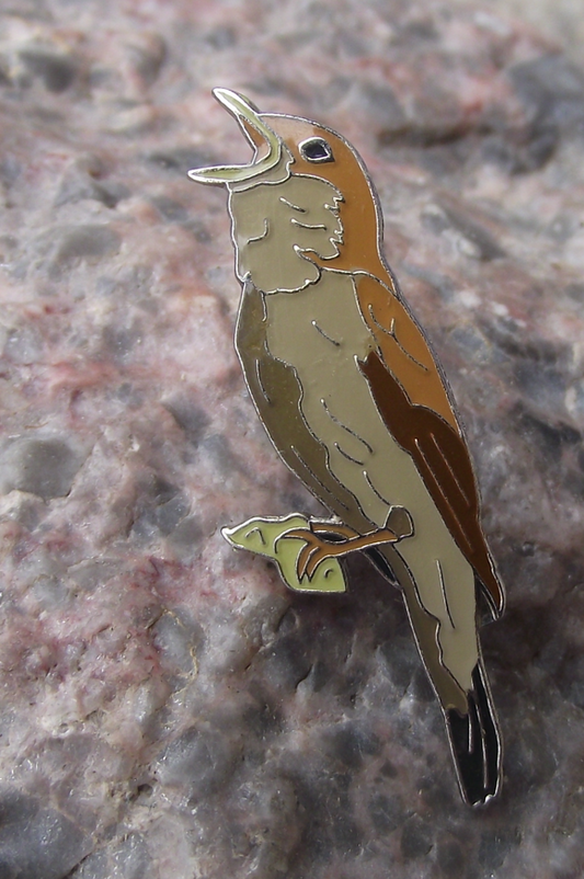 Common Nightingale Song Bird Flycatcher Pin Badge - Badgecrazy