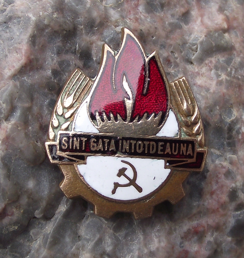 Vintage Romania Pioneer Youth Scouting Always Ready Slogan Flames Pin Badge