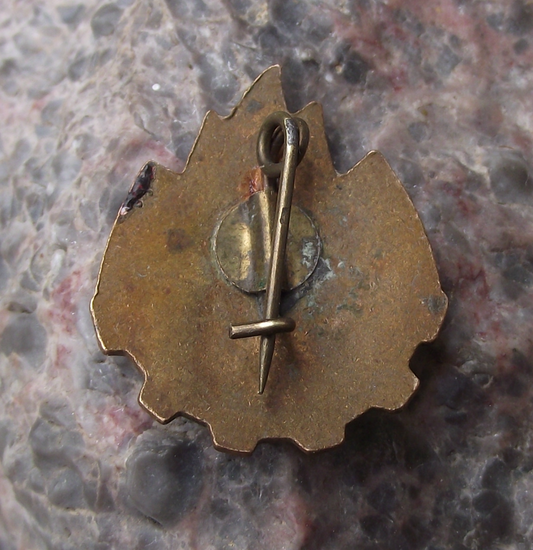 Vintage Romania Pioneer Youth Scouting Always Ready Slogan Flames Pin Badge