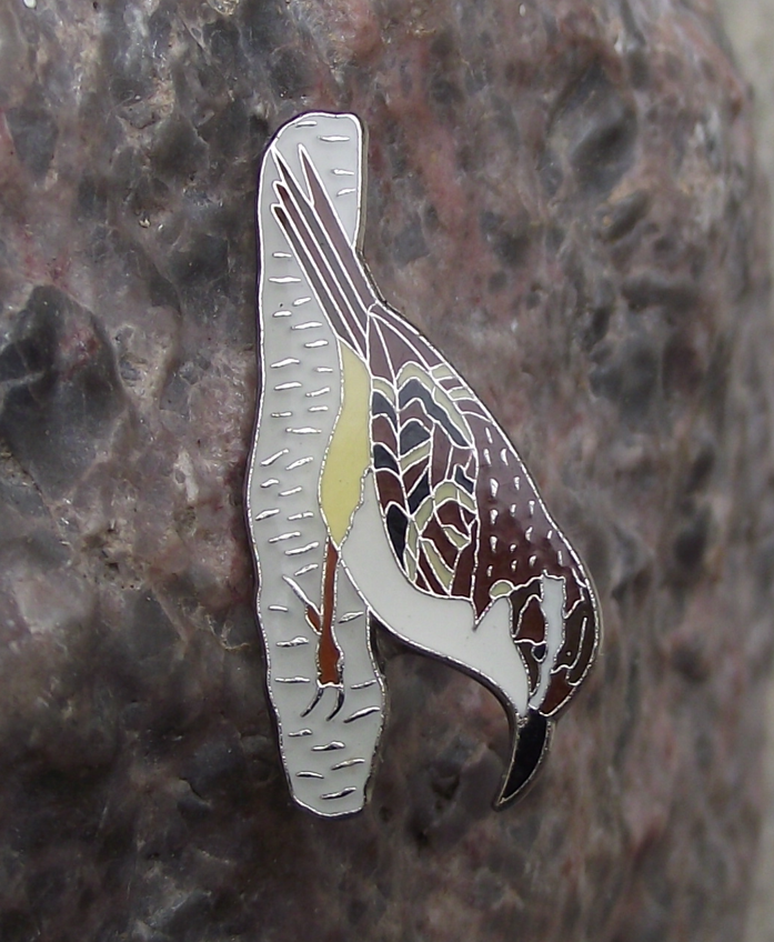 European Treecreeper Insect Eating Tree Garden Bird Pin Badge - Badgecrazy