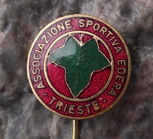 Vintage ASD Associazione Sportiva Edera Trieste Ice Hockey Team Pin Badge