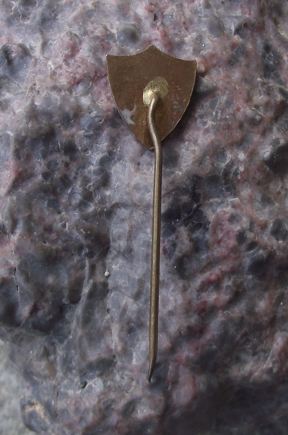 Vintage Liberec Ice Hockey Club Stadium Pin Badge