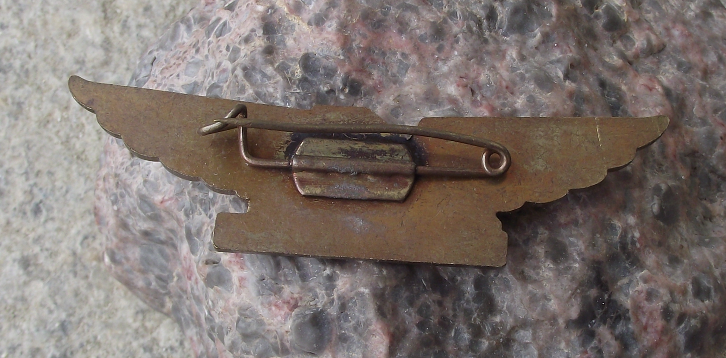 Rare Vintage Aerolineas Argentinas Argentina Airways Pilot Wings Pin Badge - Badgecrazy