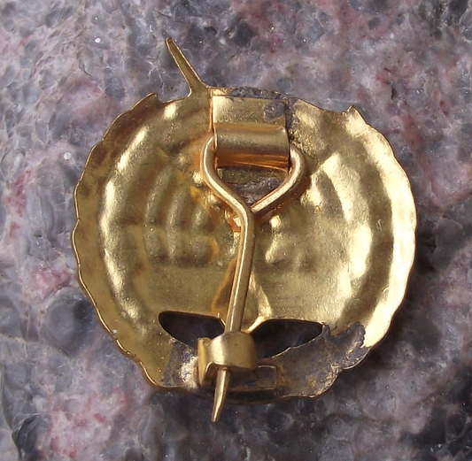 Vintage Arabic Algeria Egypt Naval Defence Forces Uniform Pin Badge