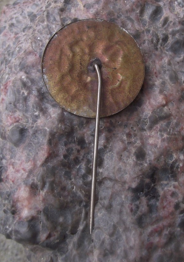 Vintage Royal Halland County Agricultural Society Sweden Swedish Pin Badge