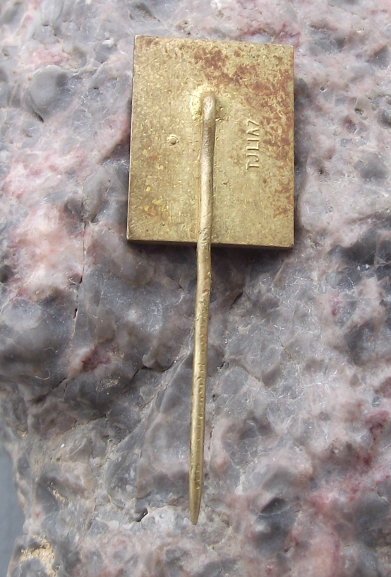 Vintage Aero L-29 Delfin Warsaw Pact Jet Aircraft Pin Badge - Badgecrazy