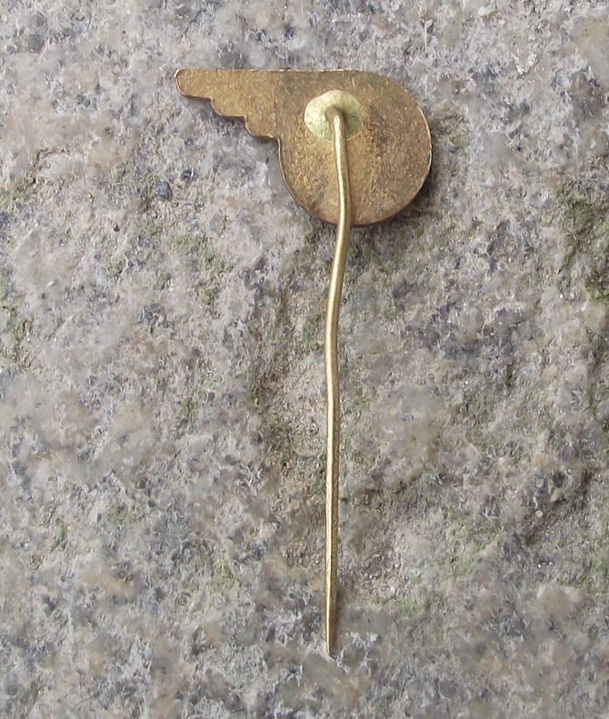 Vintage Tatra CS Vagonka Railway Carriages Wagons Company Wing Pin Badge - Badgecrazy