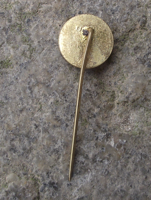 Vintage Tatra Logo Car & Truck Maker Czech Motor Vehicle Advertising Pin Badge - Badgecrazy