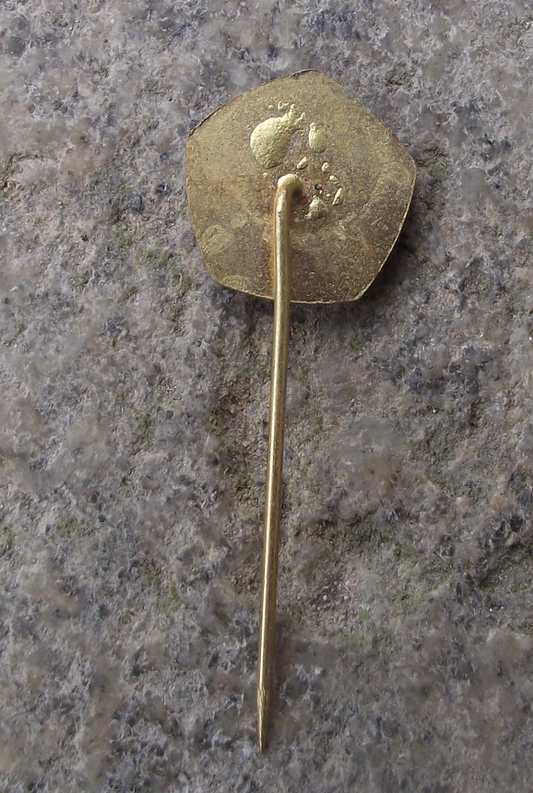 Vintage Tatra Vehicles Factory Safety Innovator Award Grade 2 Pin Badge - Badgecrazy