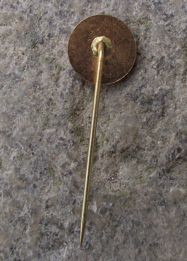 Vintage Tatra Smichov Veslařský Oddíl Trams Railway Rowing Club Pin Badge - Badgecrazy