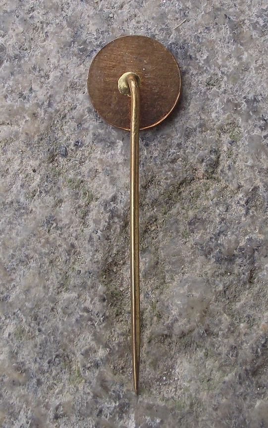 Vintage Tatra Vagonka Česka Lipa Carriages Rolling Stock Pin Badge - Badgecrazy