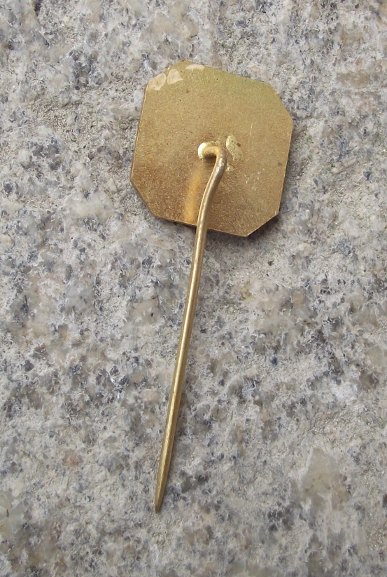 Vintage Czech Tatra 1909 Car Maker Collectible Pin Badge - Badgecrazy