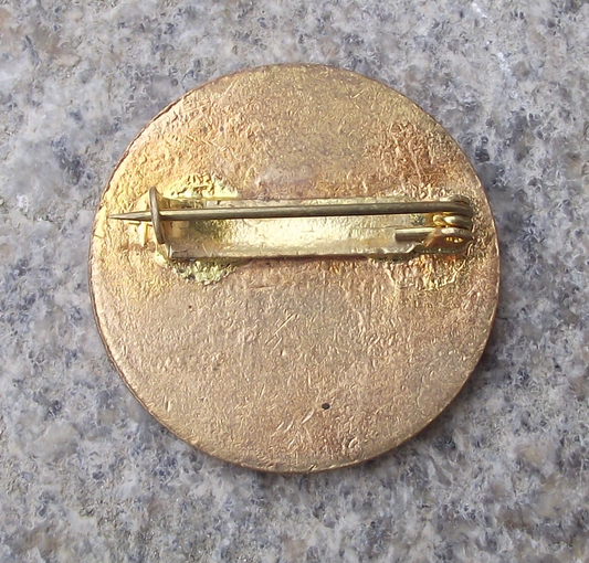 Vintage Czech Pioneer Pionyr Camp House Construction Level 6 ROH Pin Badge - Badgecrazy