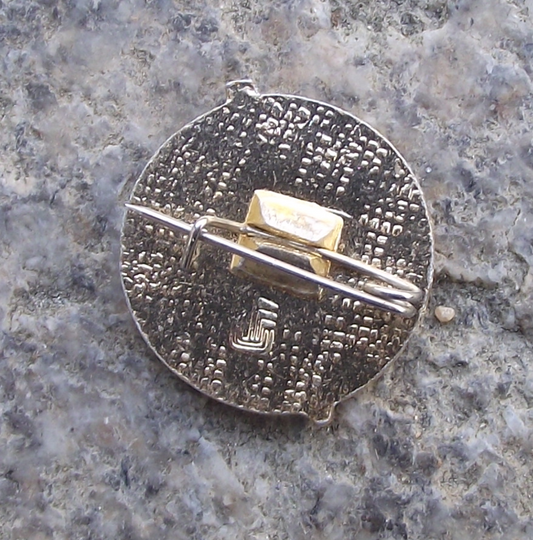 Vintage Soviet Union Russian Ice Hockey Federation CCCP Pin Badge - Badgecrazy