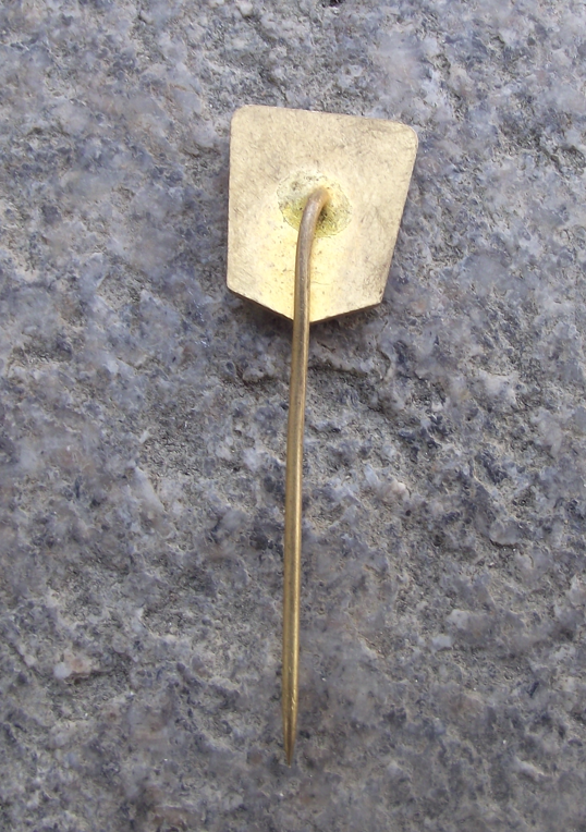 Vintage Hradec Kralove Stadion Ice Hockey Club Stadium Lion Pin Badge - Badgecrazy