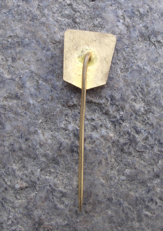 Vintage Hradec Kralove Stadion Ice Hockey Club Stadium Lion Pin Badge - Badgecrazy