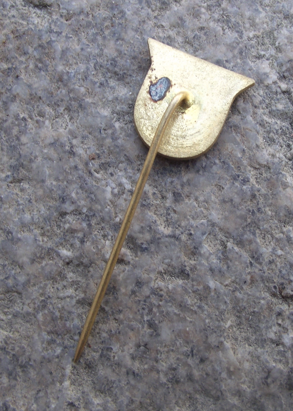 Vintage Prerov Ice Hockey Club TJ Lokomotiva Meochema Pin Badge - Badgecrazy