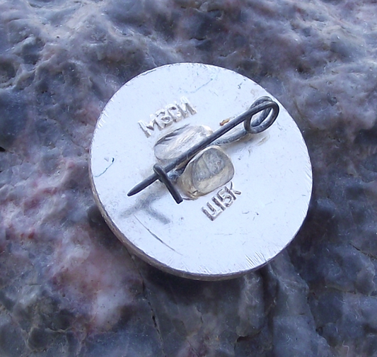 Vintage Moscow River Shipping Company Tourism House Flag Pin Badge