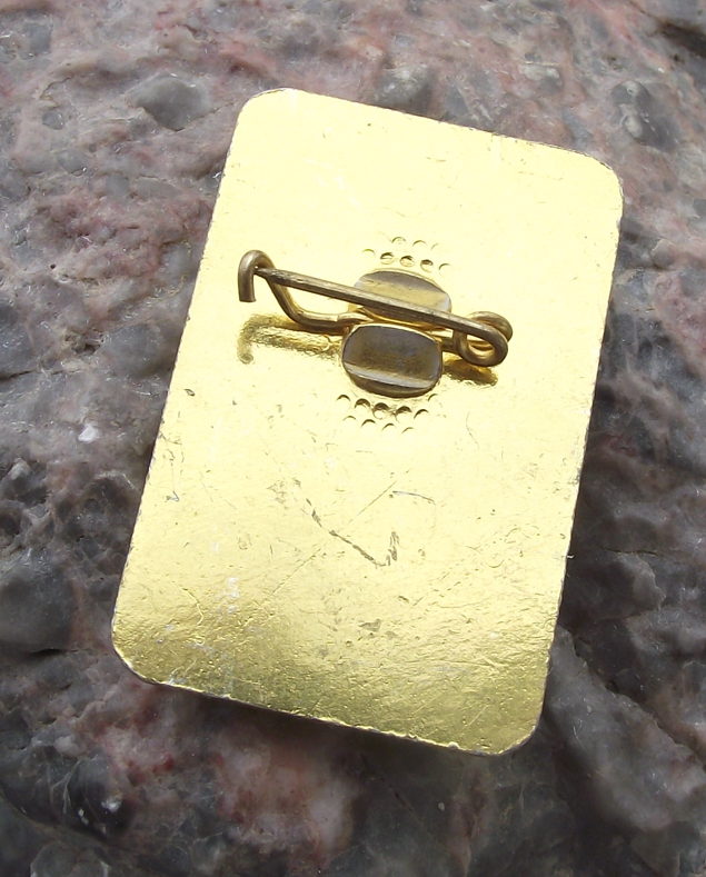 Vintage Bulgaria Youth Pioneer Organization Red Star Pin Badge - Badgecrazy