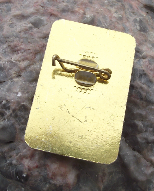 Vintage Bulgaria Youth Pioneer Organization Red Star Pin Badge - Badgecrazy