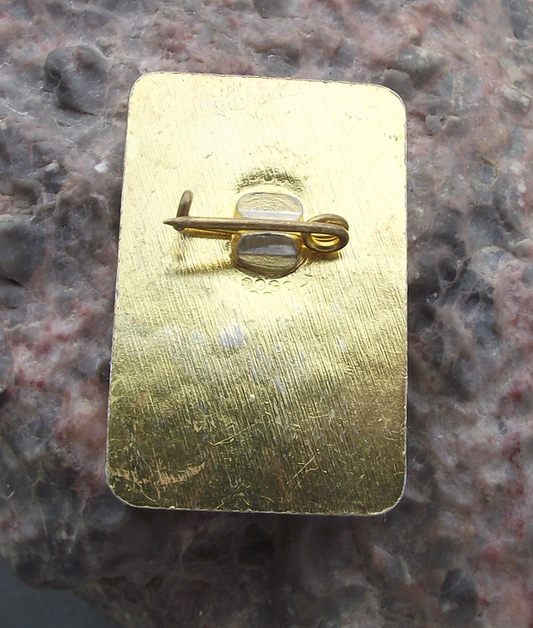 Vintage Bulgaria Youth Pioneer Organization Open Book Hammer Pin Badge - Badgecrazy