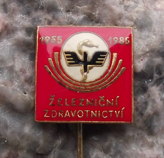 1985 Railway Employees Train Workers Hospital Health Care Pin Badge