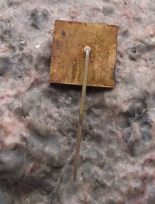 1985 Railway Employees Train Workers Hospital Health Care Pin Badge