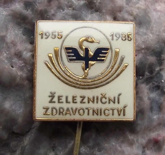1985 Railway Employees Train Workers Hospital Health Care Pin Badge