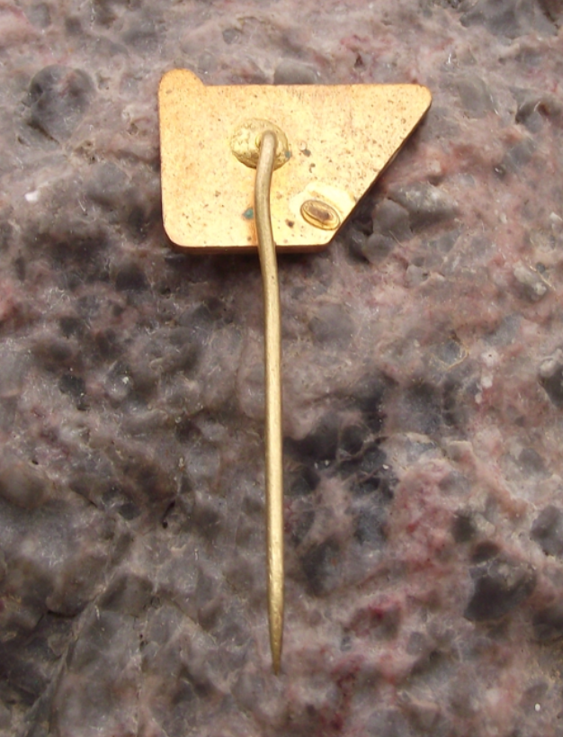 Vintage CSD Czech Railway Locomotive Train Plzen 75th Anniversary Pin Badge