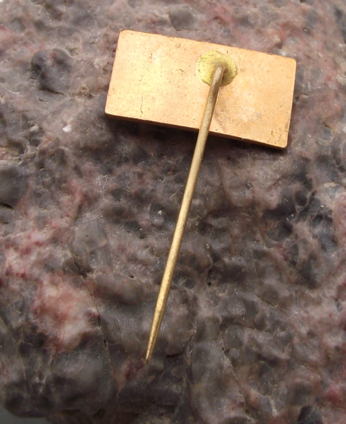 Vintage CSD Czech Railway Train Hrob Moldava Rail Link Centenary Pin Badge