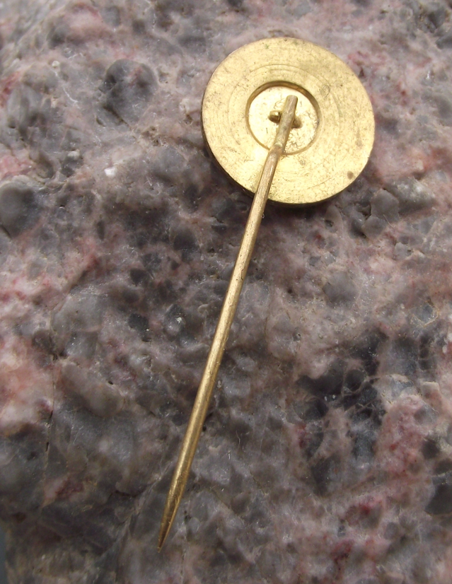 Vintage Czech Eastern Rail Trains CSD Tatra Mountain Cable Car Pin Badge