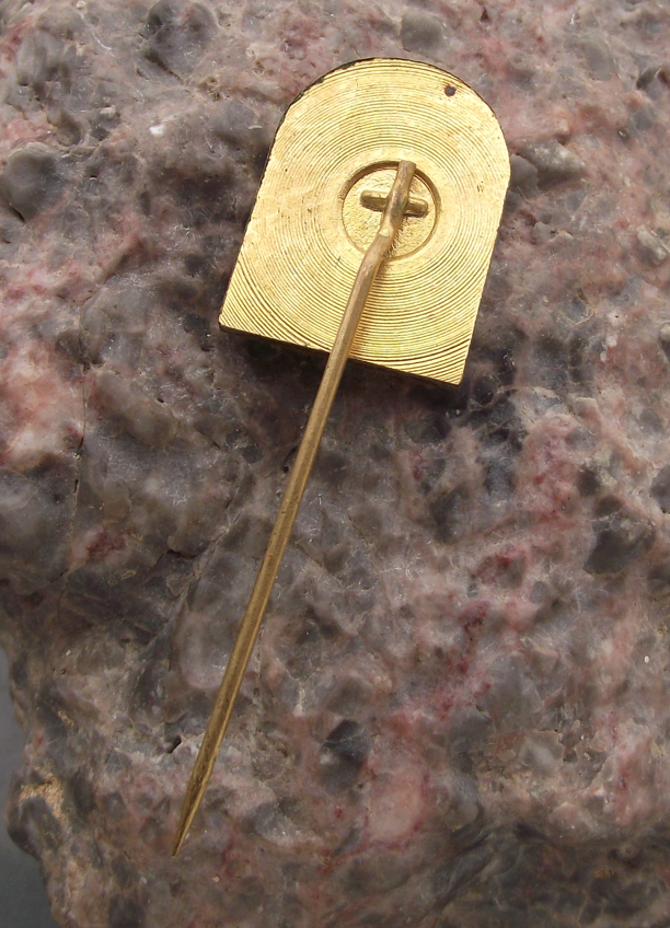 Vintage Czech Railways CSD Train Bratislava Region Track Pin Badge