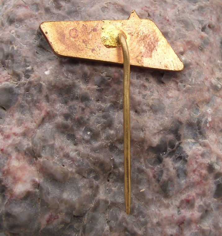 Vintage Czech Railways Ostrava CSD Train Pin Badge