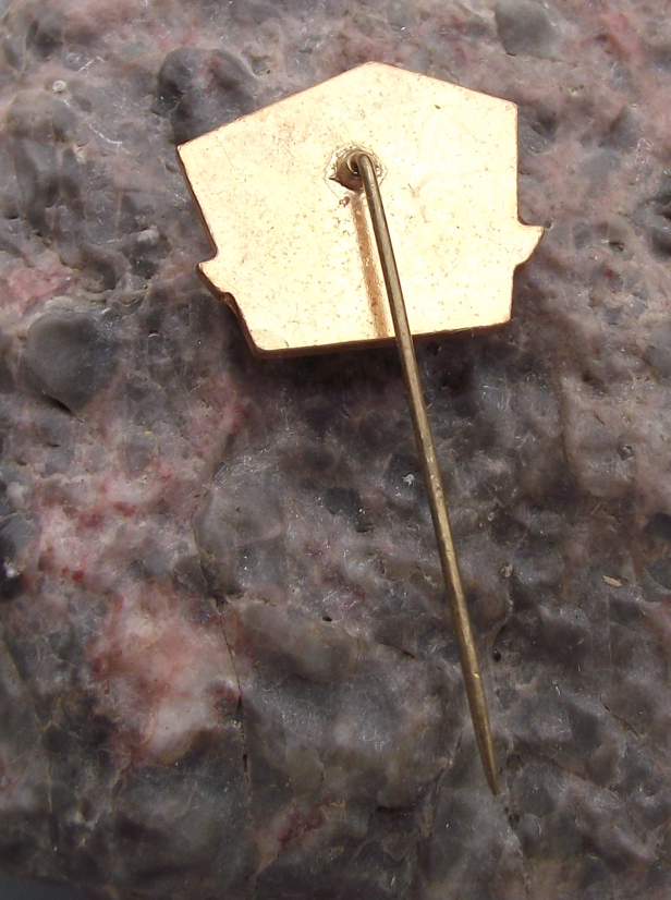 Vintage Czech Railways CSD SPŽUP Prague Rail Train Anniversary Pin Badge