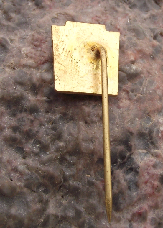 Vintage Czech Railways Valašské Meziříčí CSD Train Station Pin Badge