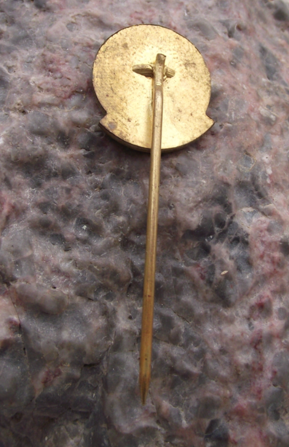 Vintage Czech Railways CSD Bratislava Worker Award Train Pin Badge