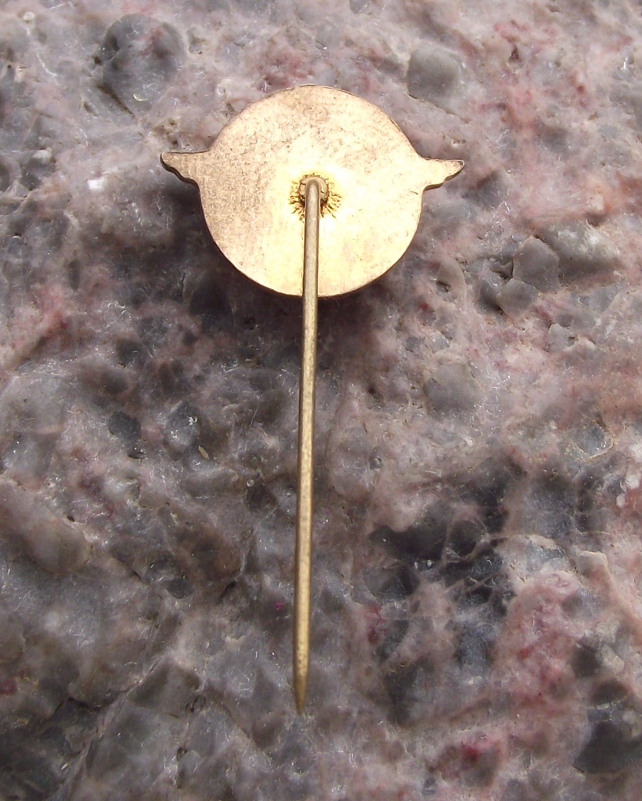 Vintage Yugoslavia Railways JZ Train Winged Logo Pin Badge