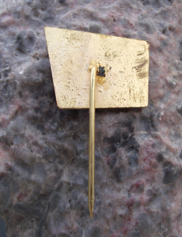 1981 Czechoslovakia Railway CSD XVI 16th Communist Party Meeting Pin Badge