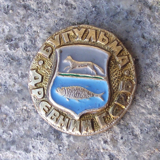 Vintage Bugulma Russia Soviet Union Coat of Arms Tatarstan Pin Badge