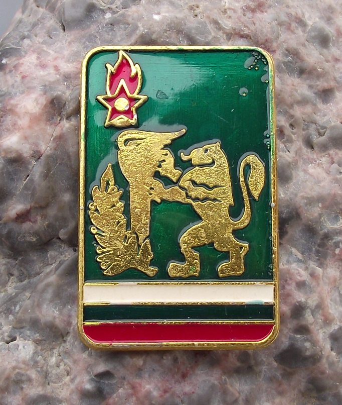 Vintage Bulgaria Youth Pioneer Organization Emblem Lion Torch Pin Badge