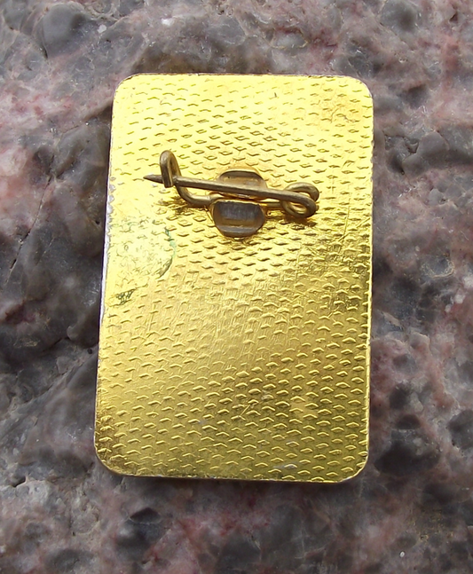 Vintage Bulgaria Youth Pioneer Organization Emblem Lion Torch Pin Badge