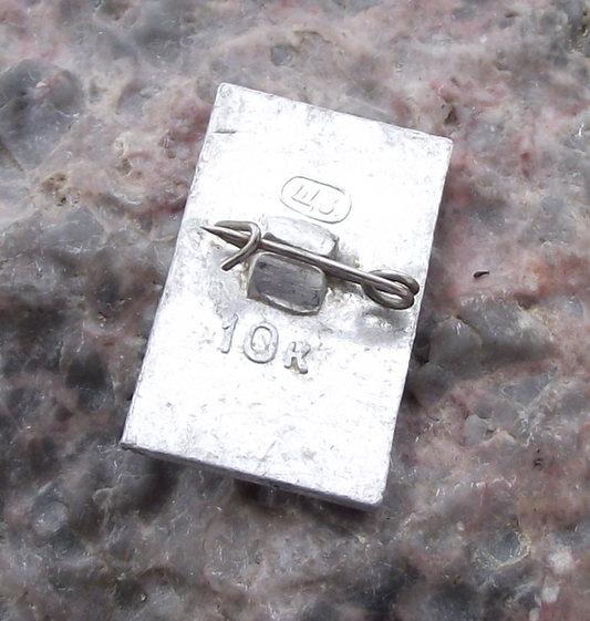 Vintage Anton Chekhov Russian Writer Playwright Pin Badge