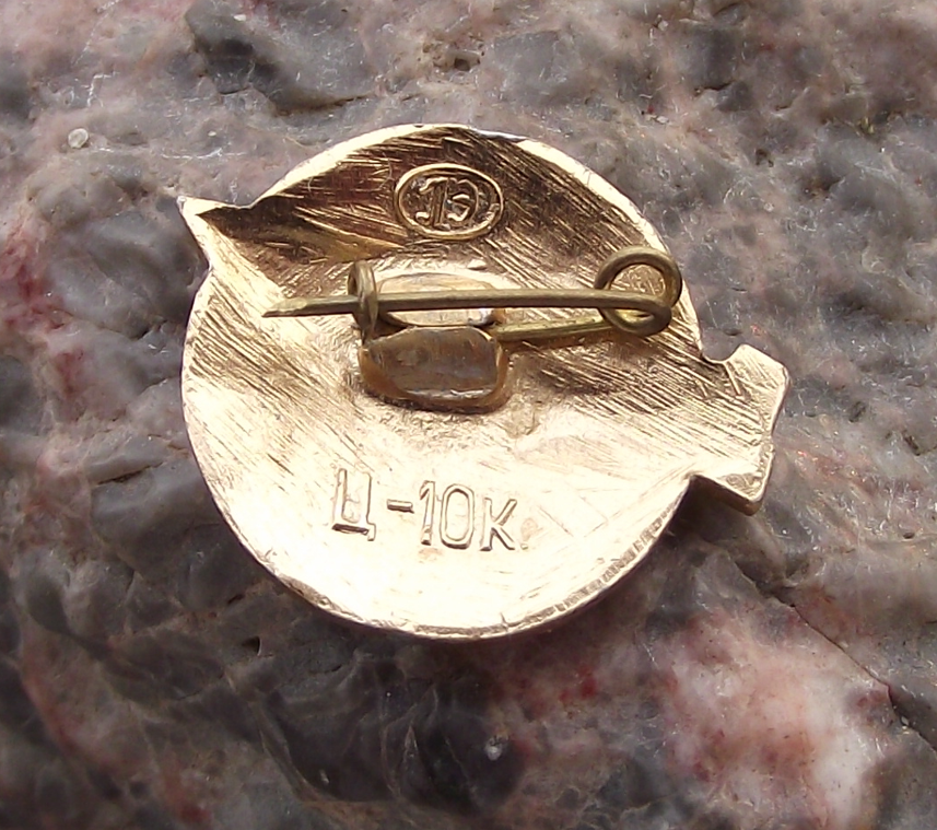 Vintage Antonov An-12 Cub Soviet Cargo Transport Aircraft Plane CCCP Pin Badge