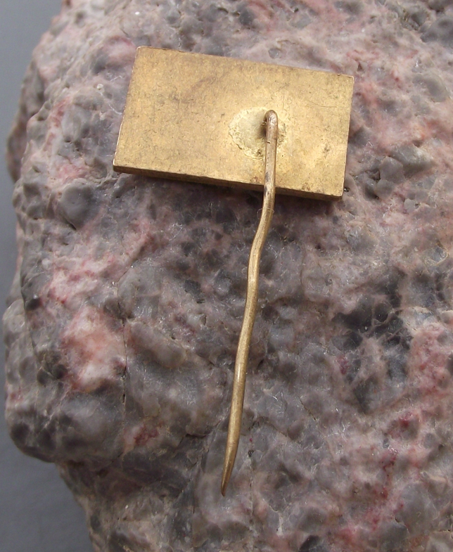 1975 MVMR 19th International Ascent of Rysy Mountain Edelweiss Pin Badge