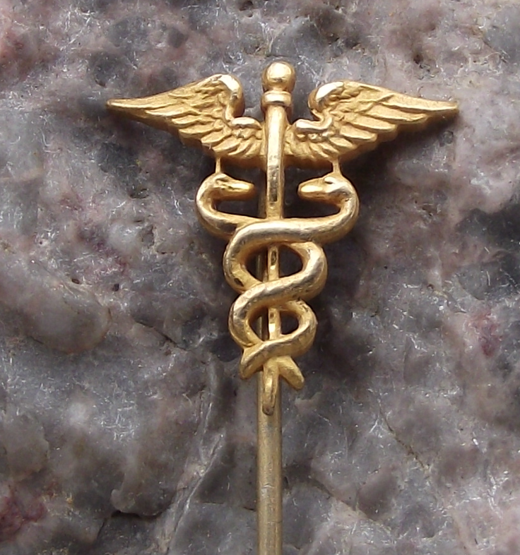 Vintage Caduceus Medical Winged Staff of Hermes and Snakes Pin Badge