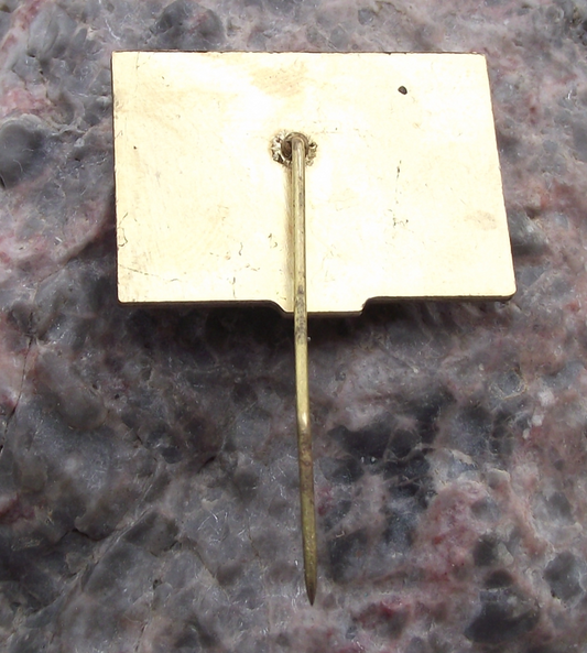 1989 IUS International Youth Students Union 50th Anniversary Pin Badge