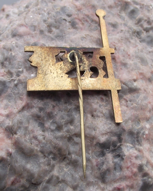 Vintage Tallinn Estonia Medieval Heraldic Dragon Lion Flag Pin Badge